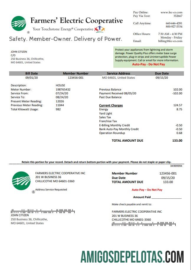 realista Modelo de projeto de lei de serviços públicos da cooperativa elétrica dos fazendeiros dos EUA em Ohio em formato Word e PDF